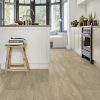 ICONIK-240-Charm-Oak-LIGHT - Image 5